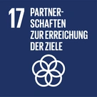 Logo: SDG 17