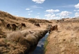 Aperçu La rivière à Espinar, contaminée par des métaux lourds provenant de l'exploitation minière.