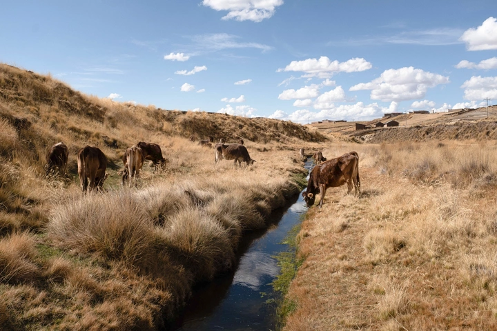 La rivière à Espinar, contaminée par des métaux lourds provenant de l'exploitation minière.