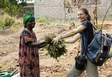 Vorschau Die Architektin Alexa Schneider unterstützte während ihrem Einsatz mit der Heilsarmee in der Republik Kongo den Bau einer Schule für Blinde und half bei der Gemüseernte für ein Projekt mit vertriebenen Frauen mit. Foto: Heilsarmee (2018).