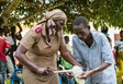 Aperçu Distribution urgente de nourriture à la population rurale dans le cadre d'un projet de l'Armée du Salut en République démocratique du Congo. Photo: Armée du Salut (2024).