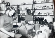 Vorschau Der Apotheker Dr. Watt im Einsatz mit Service de Missions et d’Entraide und eine lokale Angestellte in der Dominikanischen Republik Kongo. Photo: SME (1983).