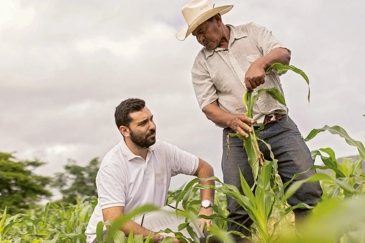 2022: Le coopérant de Comundo et agriculteur Marco Ventriglia aide son collègue Don Luis Alfredo au Nicaragua à développer des méthodes de culture qui garantissent une meilleure adaptation au changement climatique et une plus grande sécurité alimentaire.