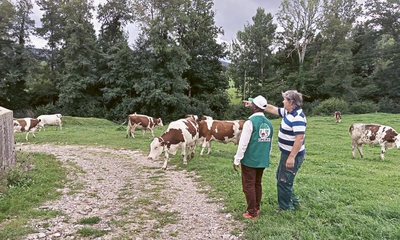 Alphonce Azebaze avec un agriculteur et des vaches laitières dans le Jura bernois pendant son échange Sud-Nord en Suisse.